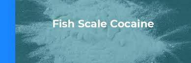 How Can I order Fish scale cocaine